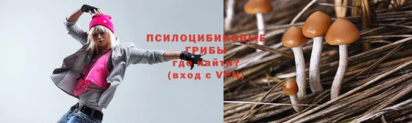 ALPHA-PVP Рославль
