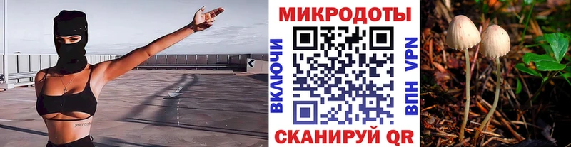 Псилоцибиновые грибы Cubensis mega рабочий сайт Урюпинск